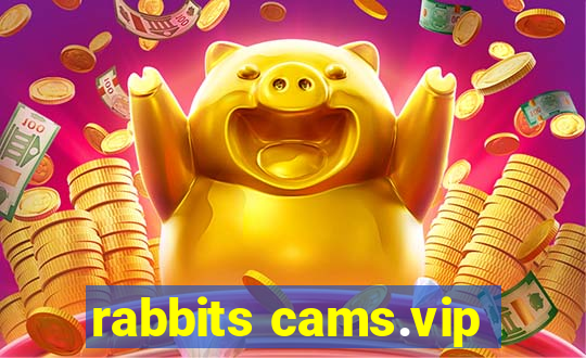 rabbits cams.vip